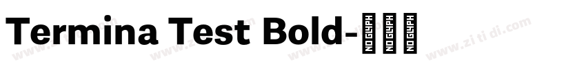Termina Test Bold字体转换
